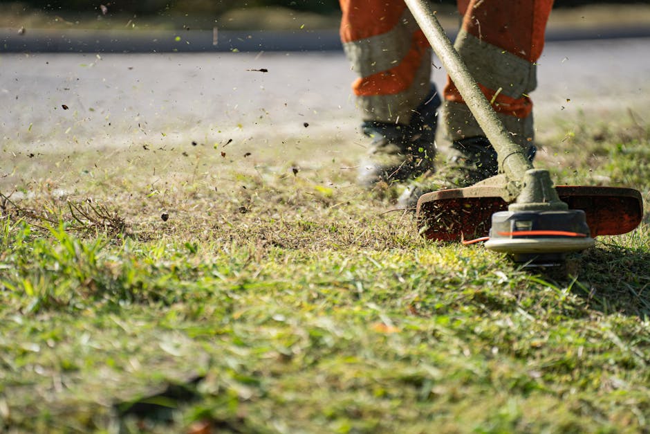Lawn care professional maintaining a yard